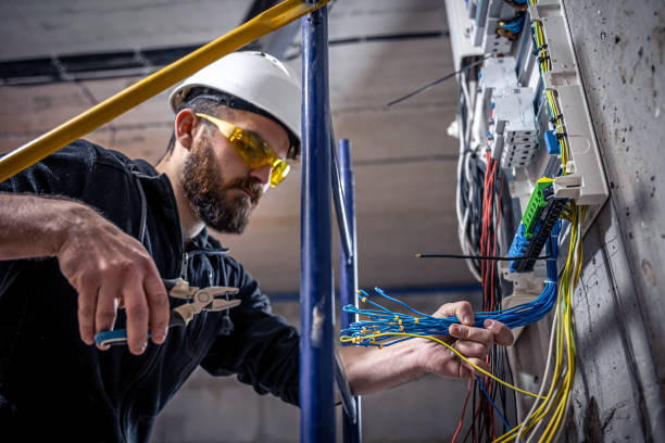 Best Electric Panel Repair  in Plainview, NE